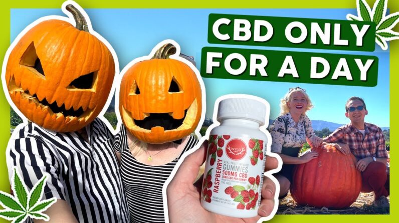 CBD Gummies